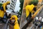 Imbornales de la capital se tapan con basura y hasta gomas